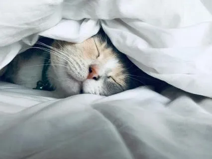 You Are Already Enough ~ 8 Hour Deep Sleep Meditation