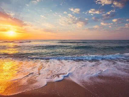 You Are Already Here