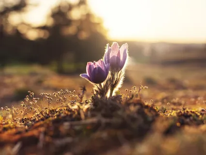 You Are Always Safe, You Are Always Loved