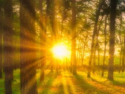 You Are Always Supported | 10 Minute Meditation
