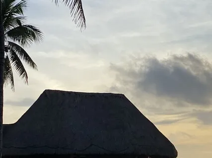 You Are Awake Awareness