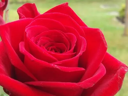 You Are Beautiful - An Affirmative Meditation