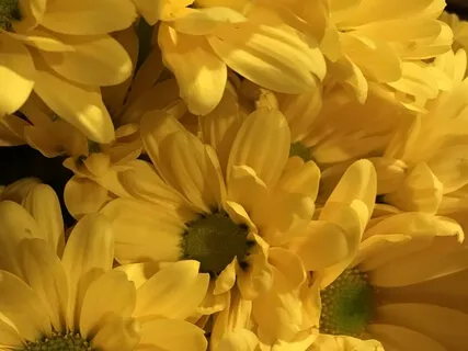You Are Beautiful! You Are Truth!