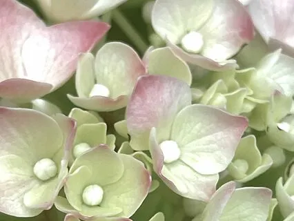 You Are Connected To All Things