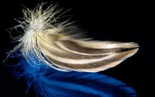 You Are Delicate - Sleep Sounds And Raindrops For Insomnia