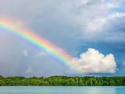 You Are Doing Better Than You Think: Self-Compassion