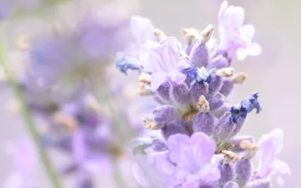 You Are ... - 111 Self Love Affirmations