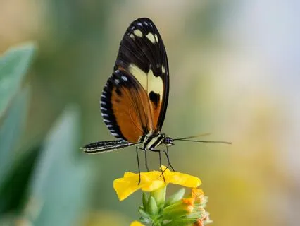 You Are Enough - A Daily Re-Set For Perfectionists