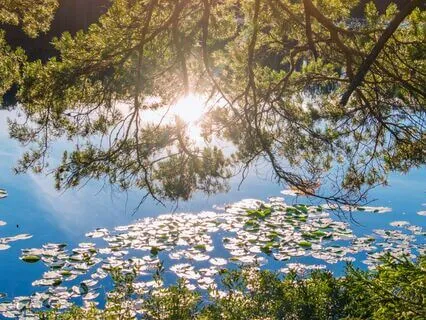 You Are Enough: A Gentle Meditation To Rest And Reconnect