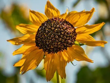 You Are Enough: A Grounding Meditation For Impostor Syndrome