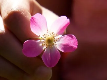 You Are Enough: A Reset For Self-Worth