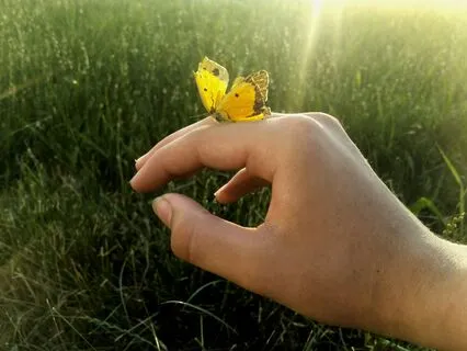 You Are Enough – A Self-Love Practice