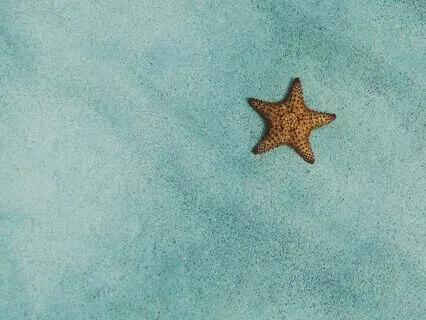 You Are Enough Daily Practice