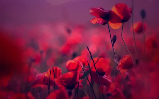 You Are Enough | Guided Sleep Meditation