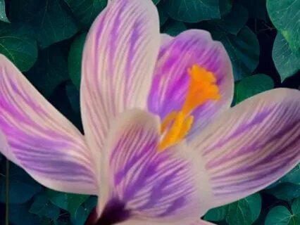 I AM Enough (Empowering Affirmations)