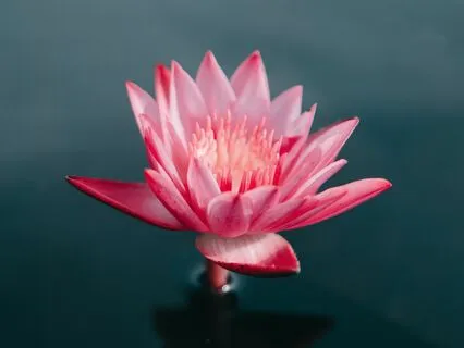 You Are Enough: Positive Meditation For Self-Love & Care