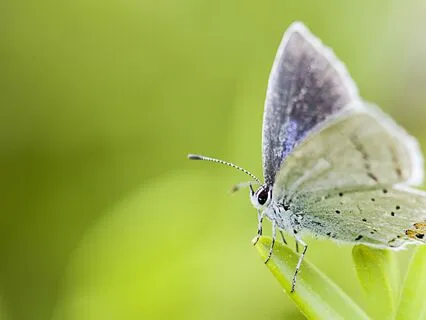 You Are Enough: Sleep Affirmations To Feel Worthy