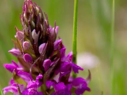 You Are Enough: Transform Self-Doubt Into Confidence | 16 Hz