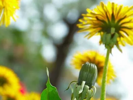 Unshakeable: A Meditation For Confidence