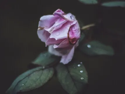 You Are Extraordinary: A Daily Reminder