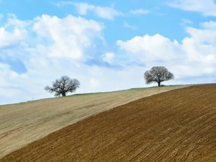 You Are Guided: Connect With Your Inner Knowing