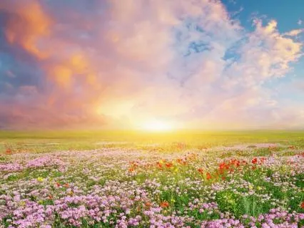 You Are Guided: Connect With Your Intuition & Spiritual Team