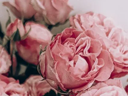 You Are Held — Affirmations For Women Who Need To Feel Seen