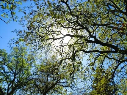 You Are In Safe Hands (Piano Music)