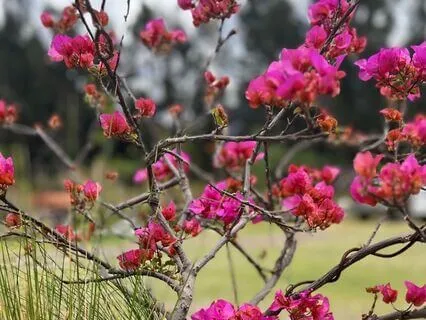 You Are It! : Guided Empowerment Meditation