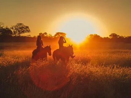 You Are Just Like Me