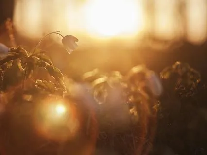 You Are Learning How To Work Through This