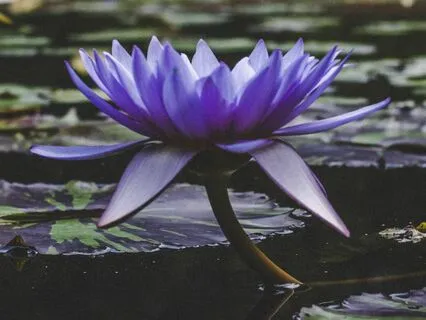 You are Light and Shadow