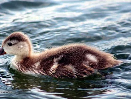 You Are Sleep Affirmations To Feel Loved And Supported