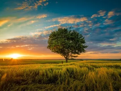 You Are Loved (Instrumental - Piano With Rain)