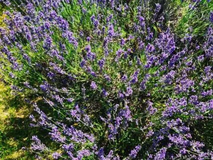 You Are Loved: Resting In God's Unconditional Grace