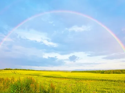 You Are Made Of Love - This Belief Will Change You