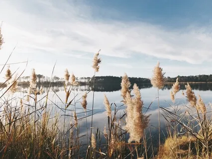 You Are Loved, You Are Safe, You Are Whole