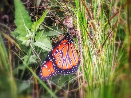 You Are Love's Extraordinary Gift - Inspirational Poem