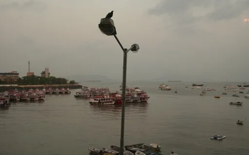 You Are Magic - Tarot Reading - Therapeutic Tarot