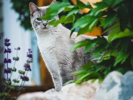 "You Are My Best Friend" - A Poem