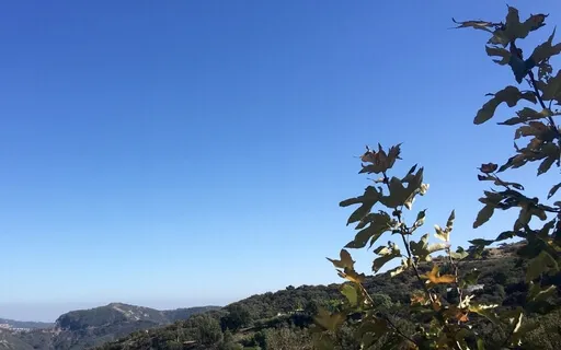 You Are Nature - Grounding Meditation