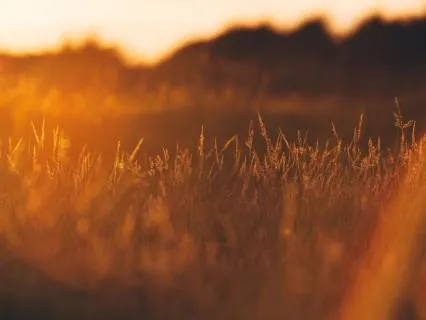 You Are Never Alone — Connected To God