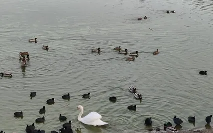 You Are Nondual Awareness!