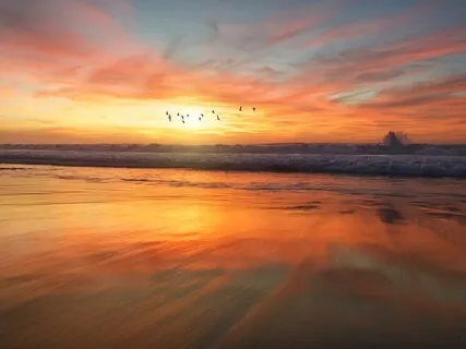 You Are Not Alone: Singing Bowl Sound Bath For Unity