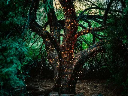 Find Belonging And Acceptance