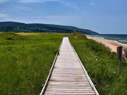 You Are Not Being Replaced, You Are Being Redefined