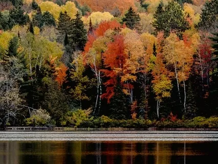 You Are Not Broken - Nothing To Fix, Just More To 'See'