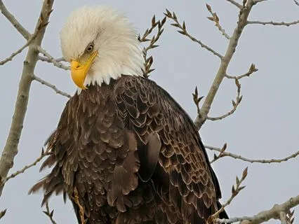 You Are Not Broken - Reflections On Addiction