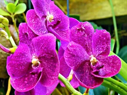 You Are Not Broken, You Are Becoming Whole