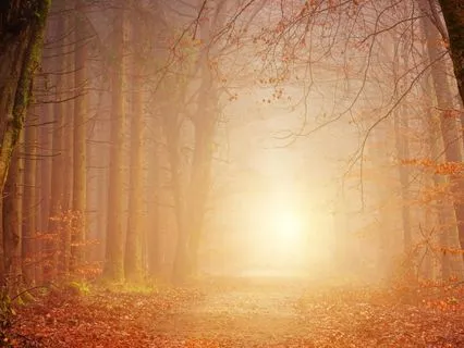 You Are Not Doing This Wrong